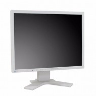 Monitor EIZO FlexScan S2100, 21 Inch LCD, 1600 x 1200, VGA, DVI